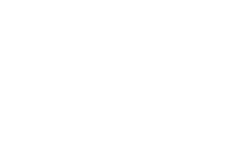 Nomination Laurel for The Conquering Disability With Film