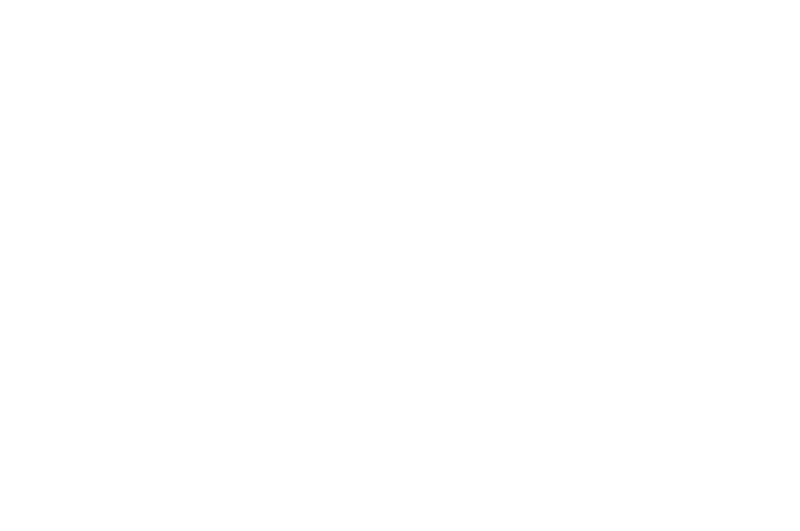 Official Selection Laurel for Long Island International Film Expo