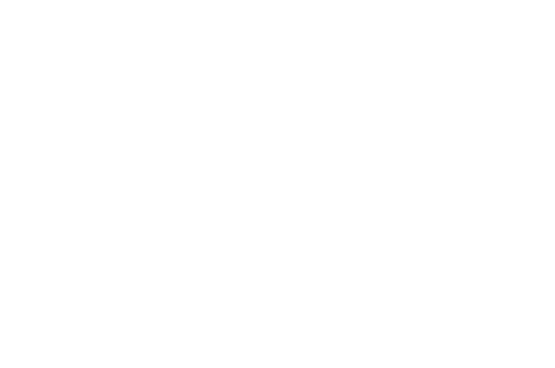Official Selection Laurel for New York Lift-Off Film Festival