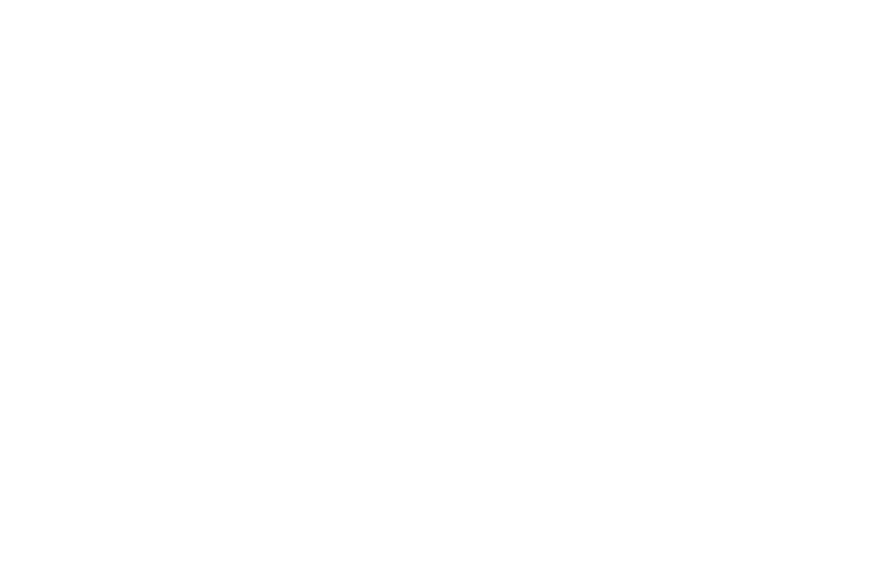 Screening Laurel for The New York Nil Gallery 